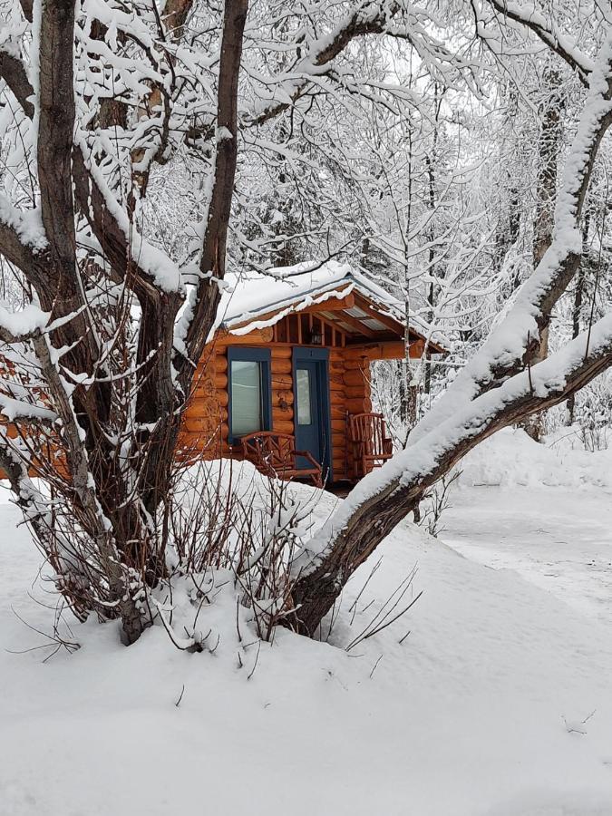 Hatcher Pass Cabins ปาล์มเมอร์ ภายนอก รูปภาพ