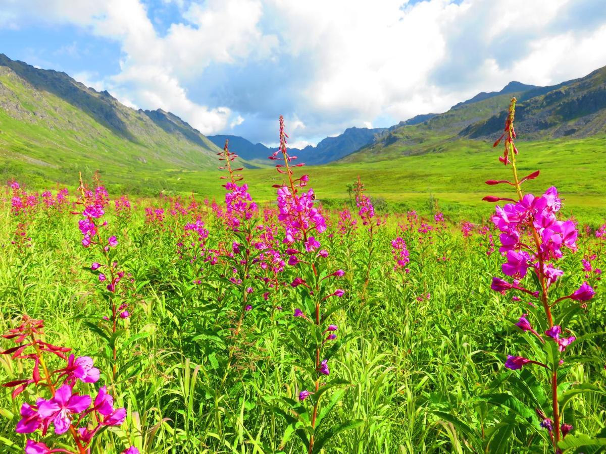 Hatcher Pass Cabins ปาล์มเมอร์ ภายนอก รูปภาพ